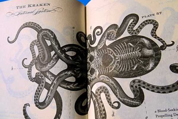 Kraken tor onion зеркало
