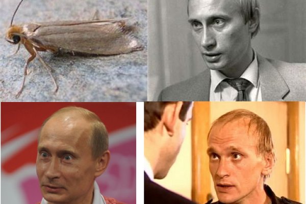 Кракен наркокортель