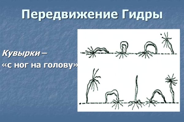 Забыл пароль кракен