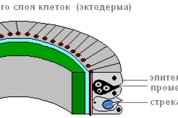 Ссылки зеркала на kraken