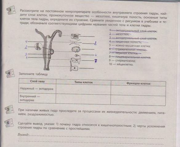 2krn cc официальный