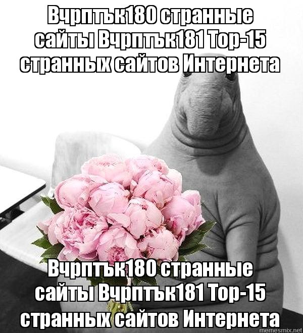 Кракен открылся