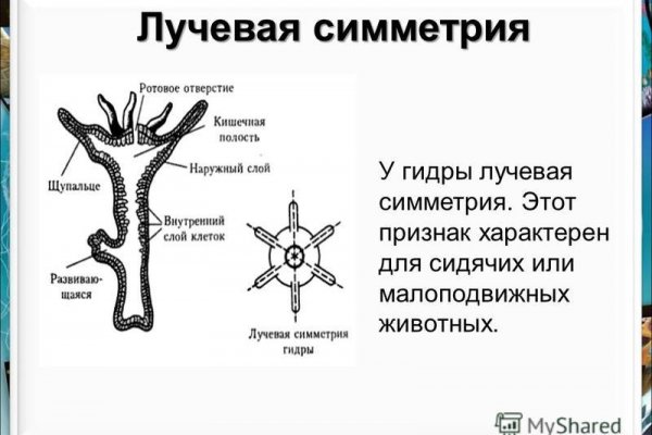 Кракен вход официальная ссылка