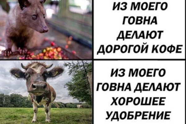 Ссылка кракен kraken torion net
